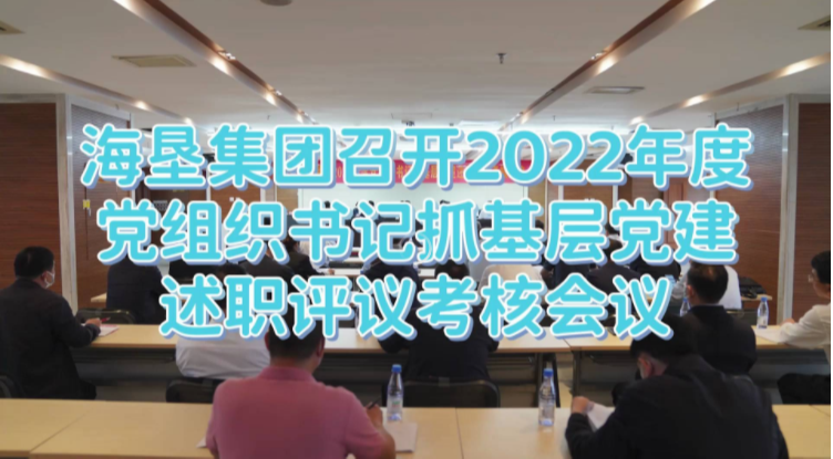 海墾集團召開2022年度黨組織書記抓基層黨建述職評議考核會議