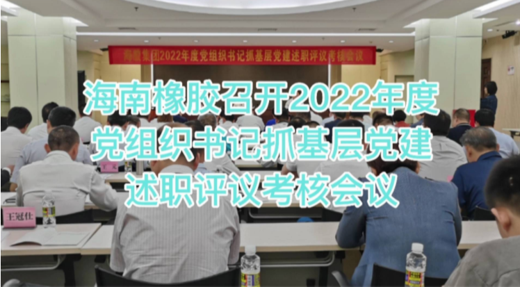 海南橡膠召開2022年度黨組織書記抓基層黨建述職評議考核會議