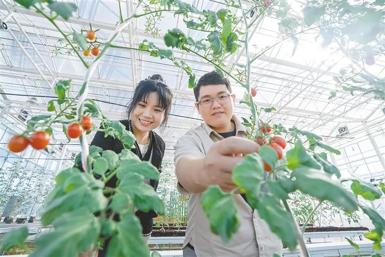 海墾企業穩步推進2024中國種子大會地展工作