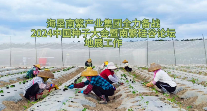 海墾南繁產業集團全力備戰2024中國種子大會暨南繁硅谷論壇地展工作