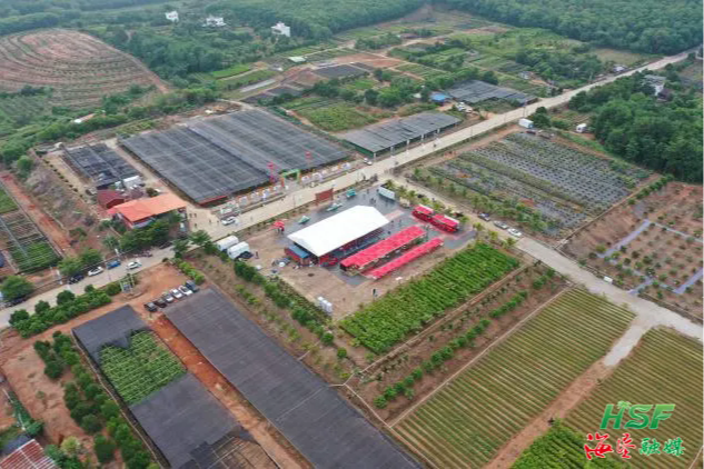 產業觀察 | 龍江農場公司科技領航“苗”繪產業新發展