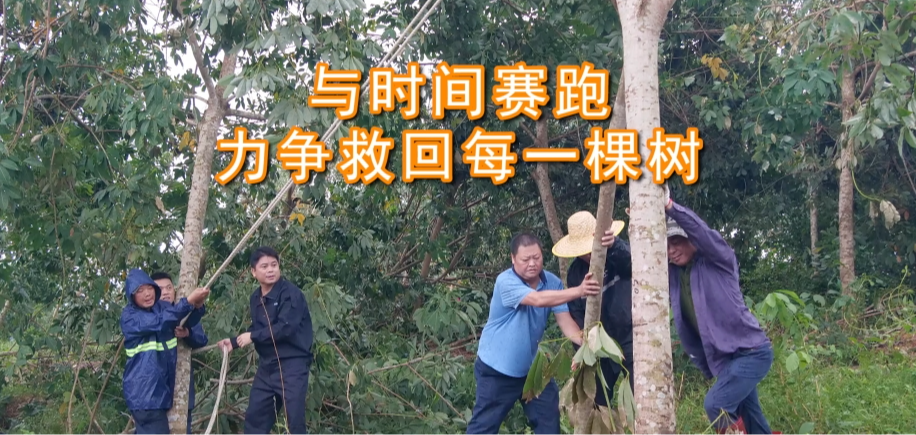 海墾集團(tuán)200余人馳援三門坡鎮(zhèn)恢復(fù)生產(chǎn)生活